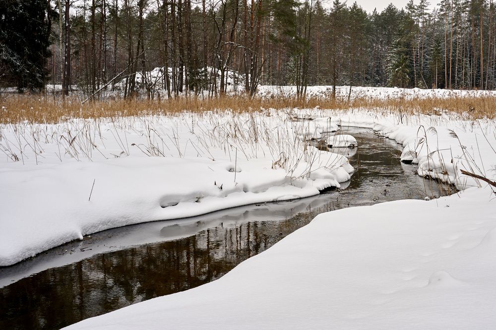 Photograph by Aleksandras Meisutovicius