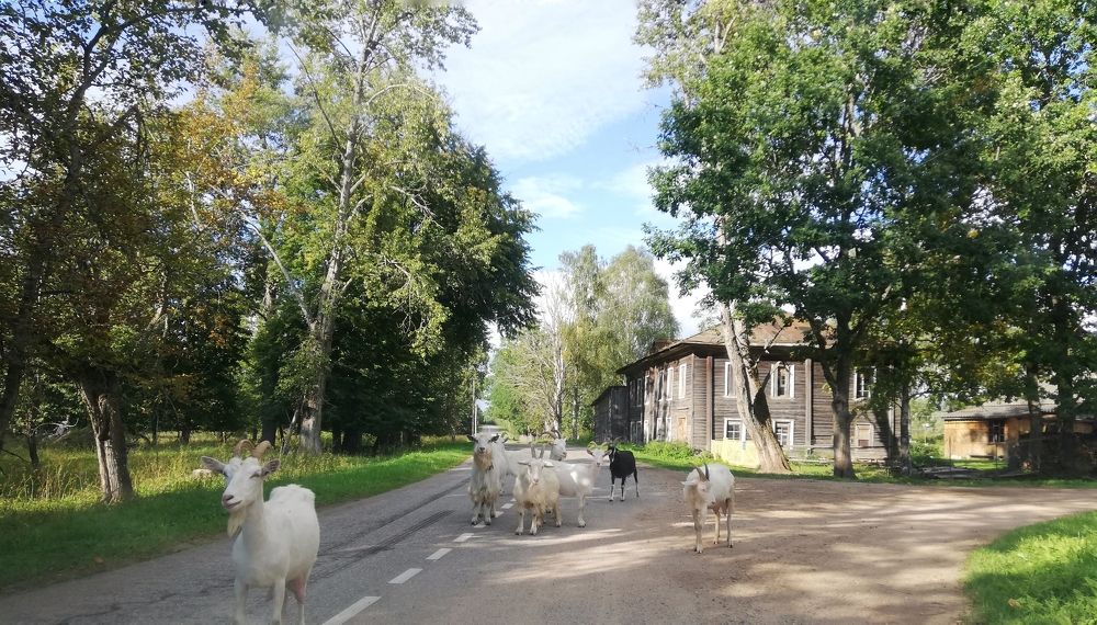 Photograph by Татьяна Смирнова