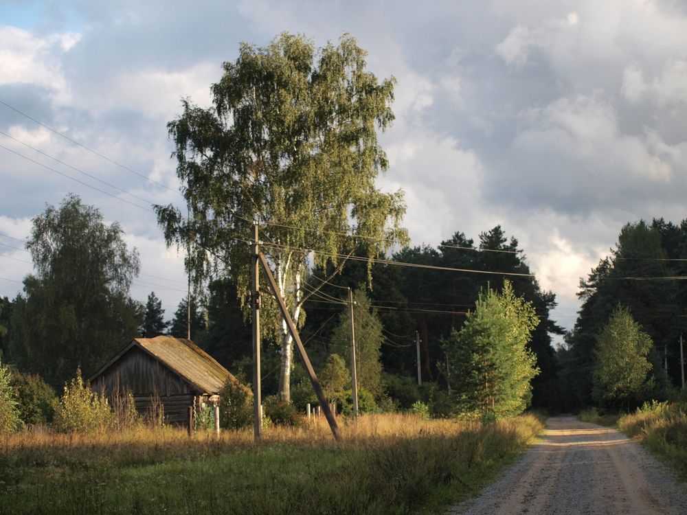 Photograph by Елена Княжева