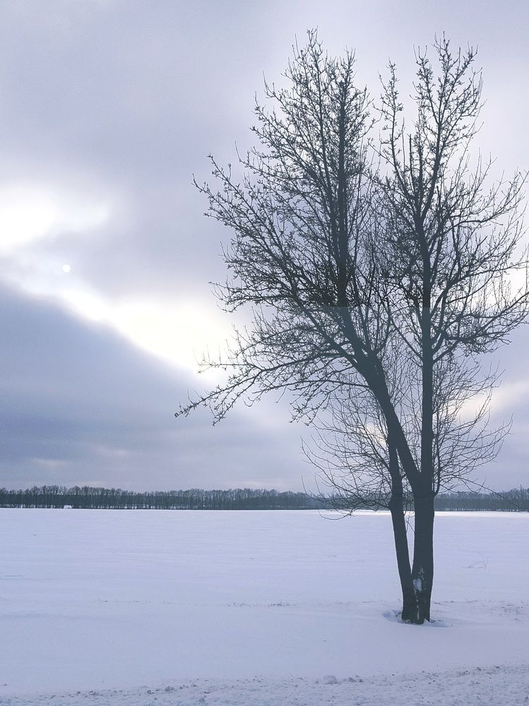 Photograph by Halina Basyanok