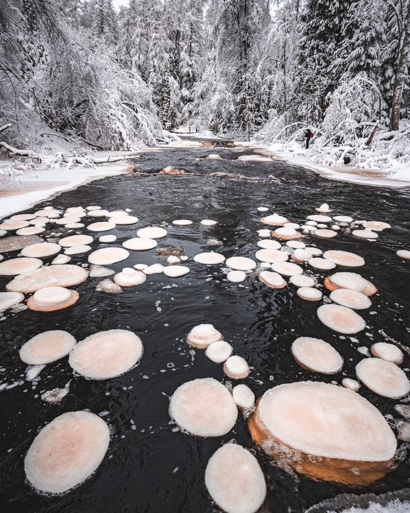 Photograph by Roman Vislobokov