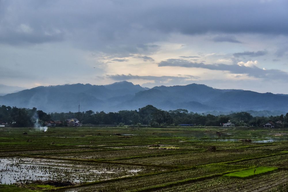 Photograph by Pujo Cahyono