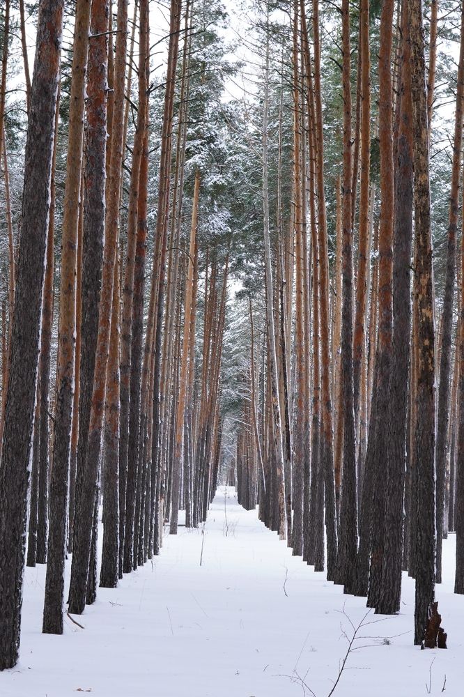 Photograph by Ирина Гусева