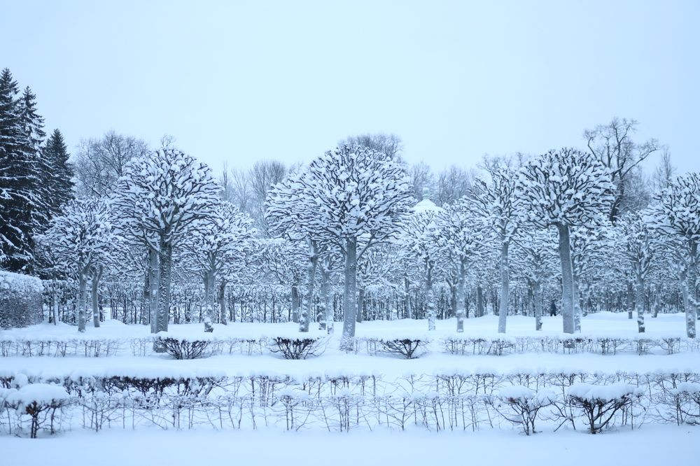 Photograph by Наталья Гусева