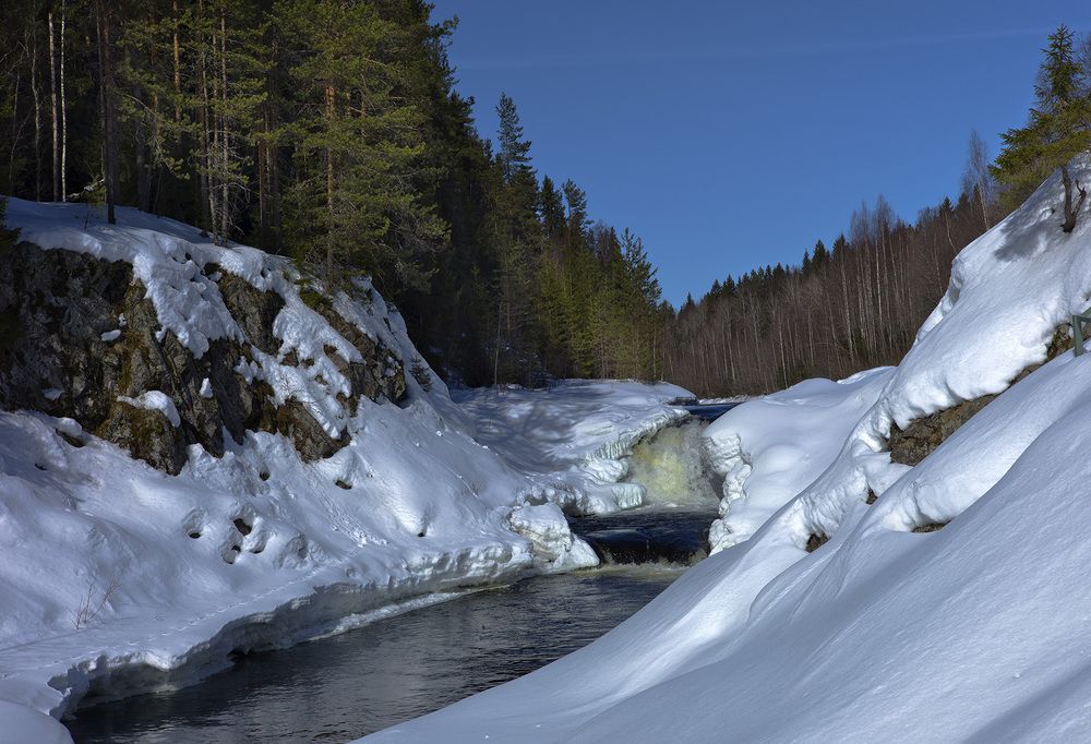 Photo #10152555