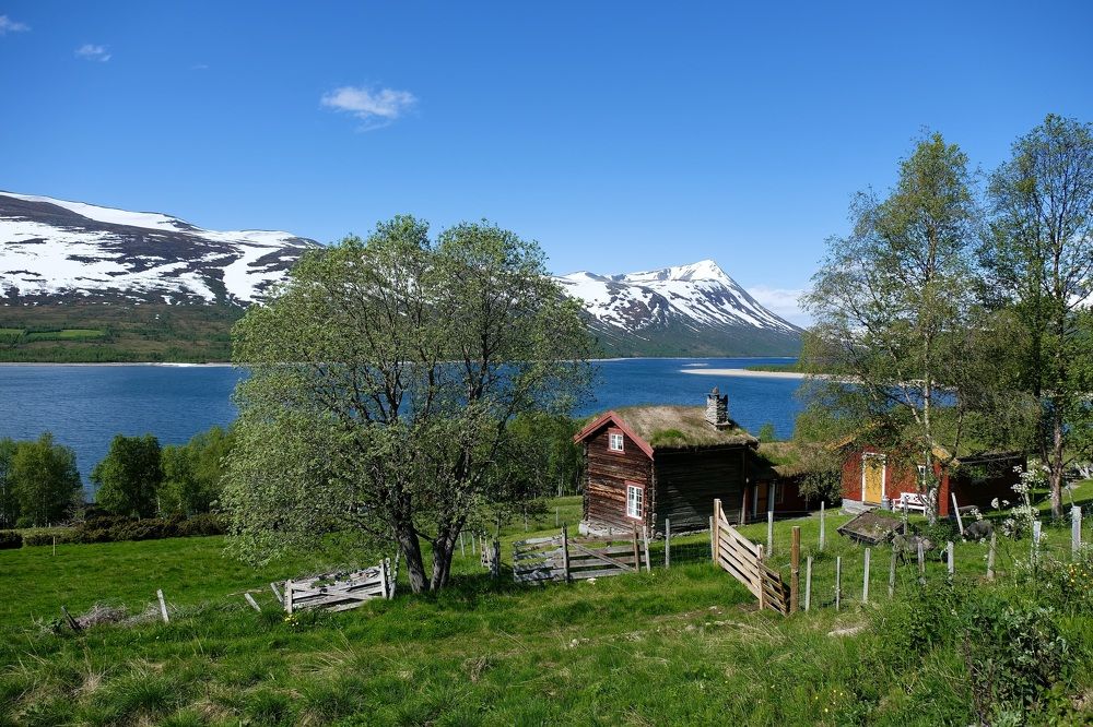 Summer day in the mountains