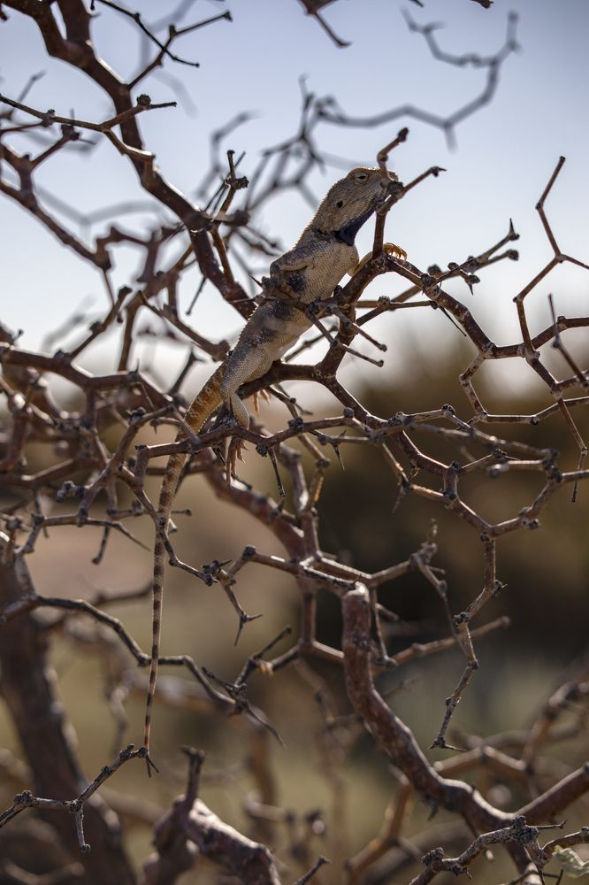 Photograph by Ирина Курьянова