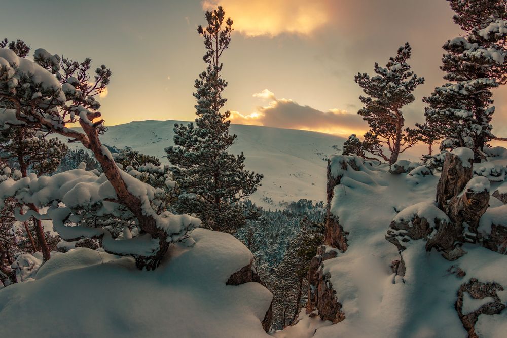 Photograph by Anatoly