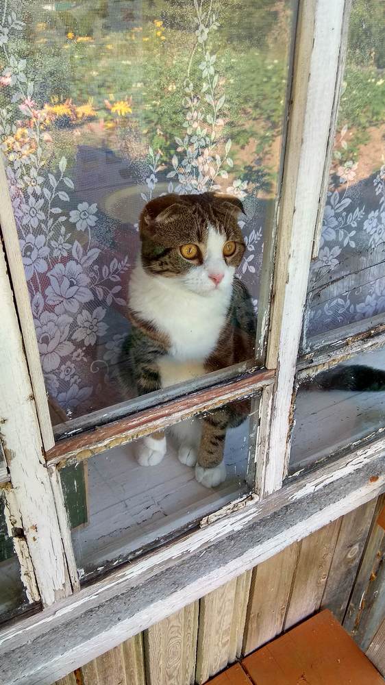 Photograph by Олег Малетин