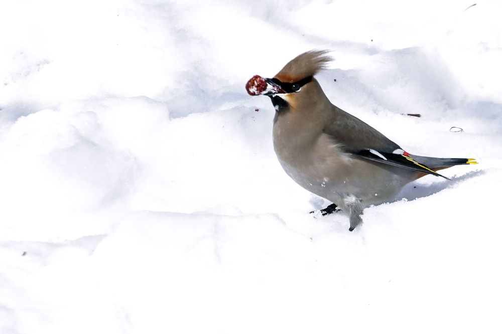 Photograph by Сергей Черных