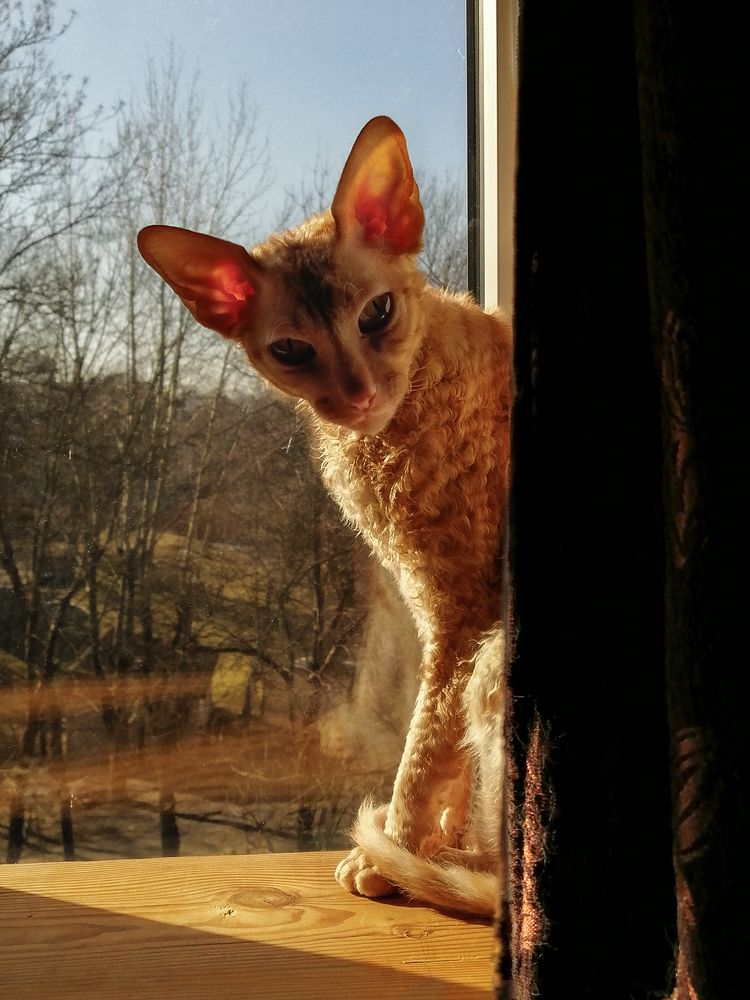 Фотография автора Борис Журавлёв