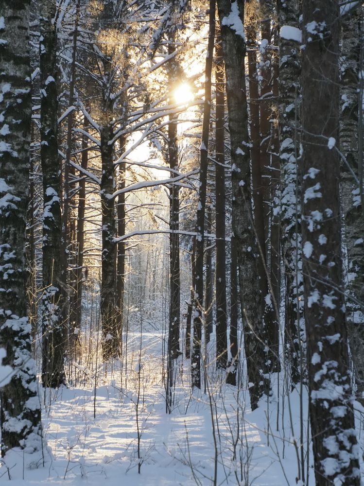 Photograph by Ольга Лыткина