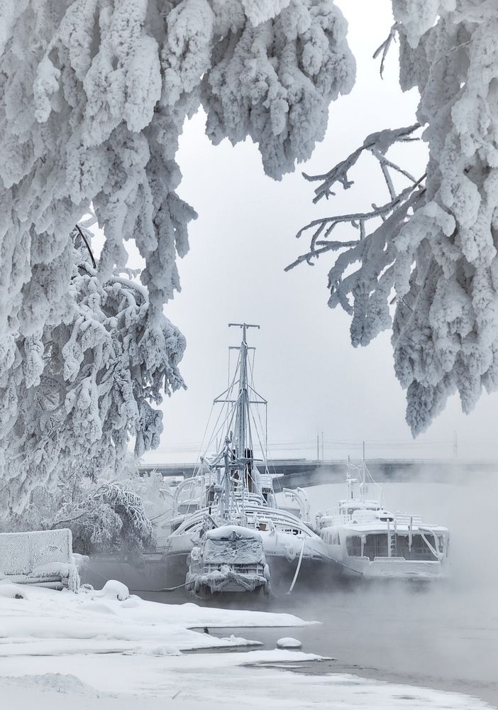 Photograph by Татьяна Лисянская