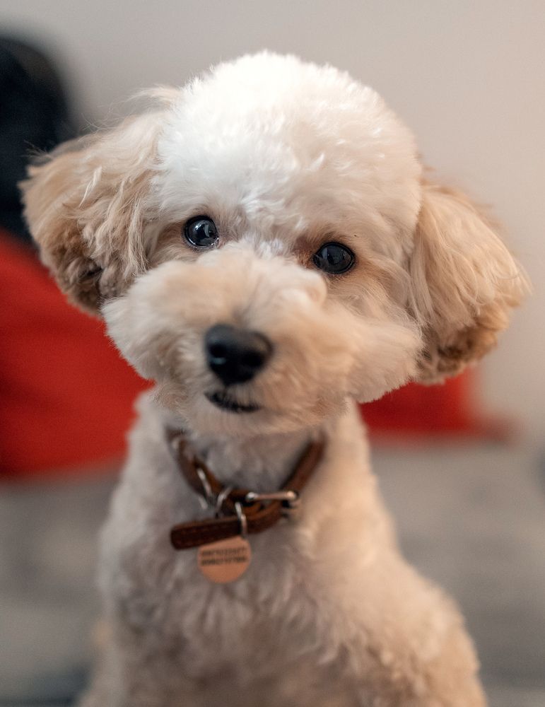 Photograph by Аникеева Тамара