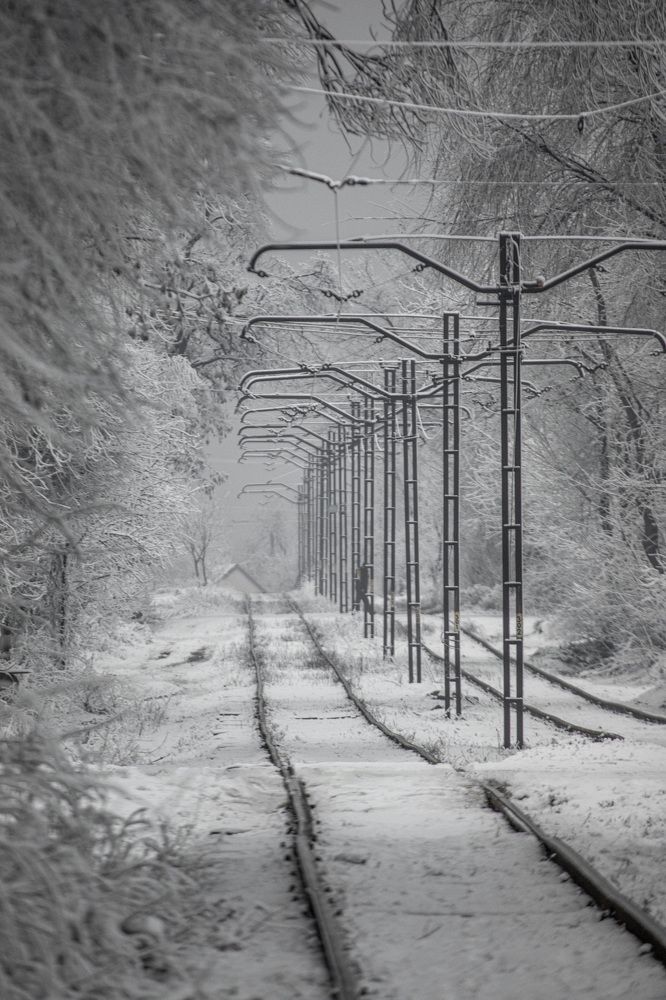 Photograph by Игорь Квочка