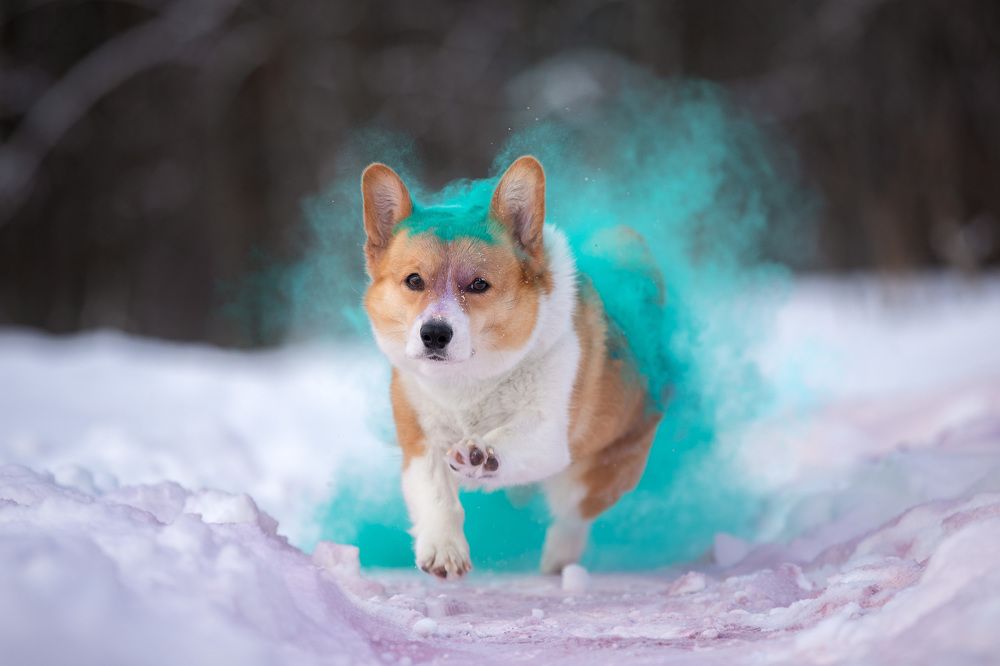 Фотография автора Татьяна Фролова