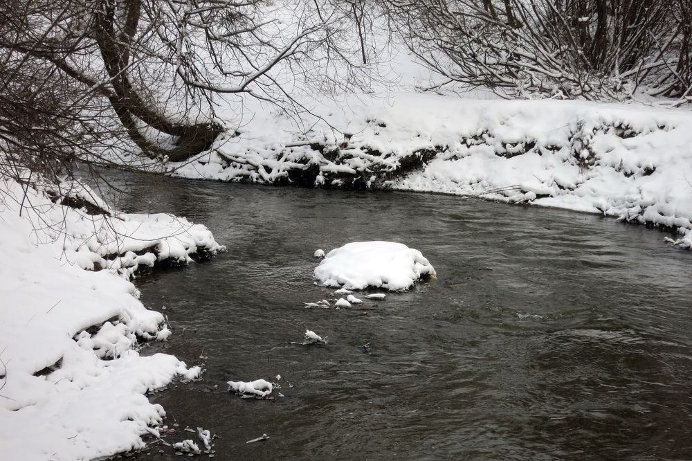 Photo #10152790