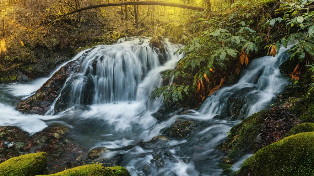 Photograph by Damian Varela