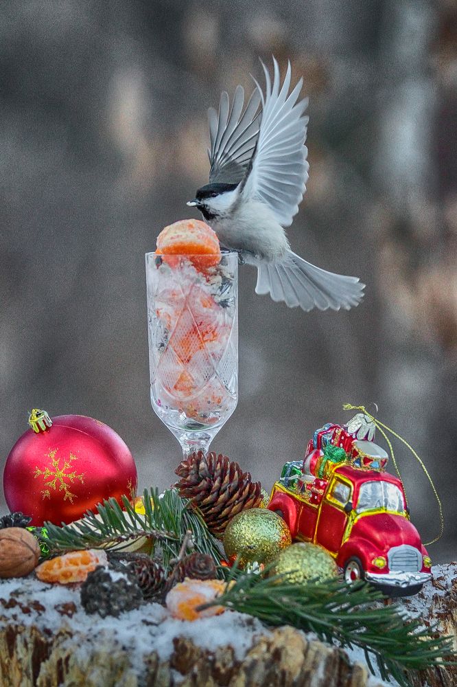 Photograph by Мария Маркина