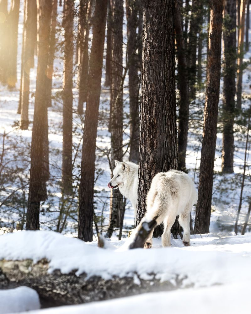 Photograph by Adriana Smeu