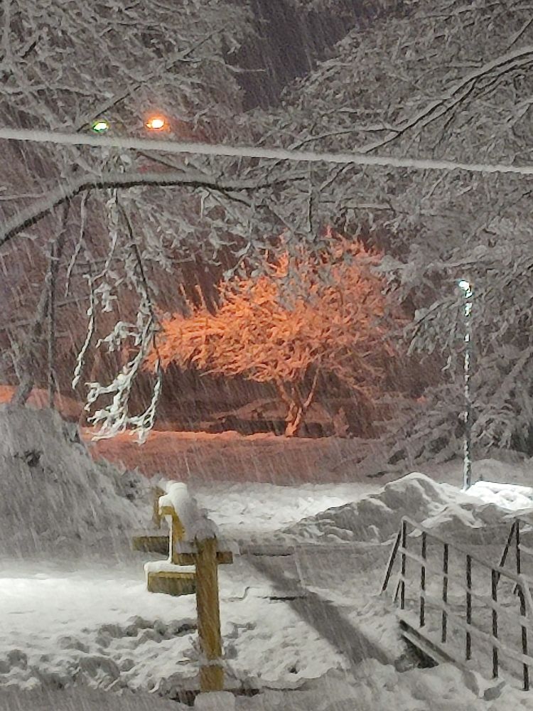 Photograph by Александр Борисович Шкурат