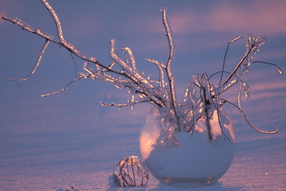 Фотография автора Татьяна Шебаршенко