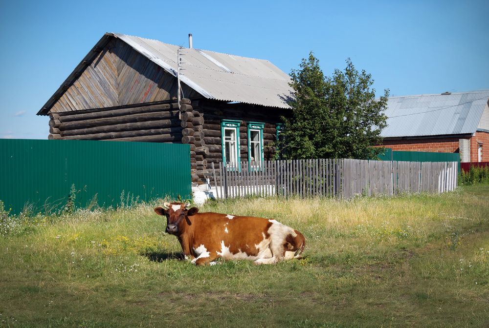 Photograph by Мишустина Татьяна