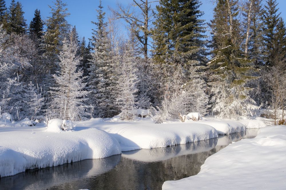 Photograph by Денис Вавилов