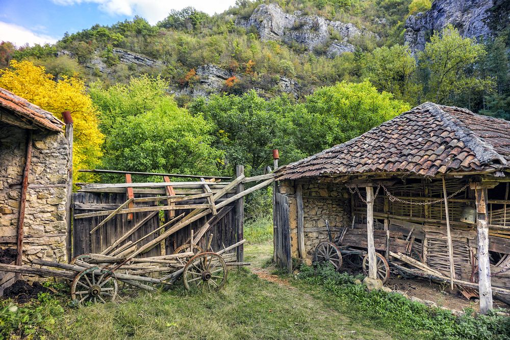 Фотография автора Milena Ivanova