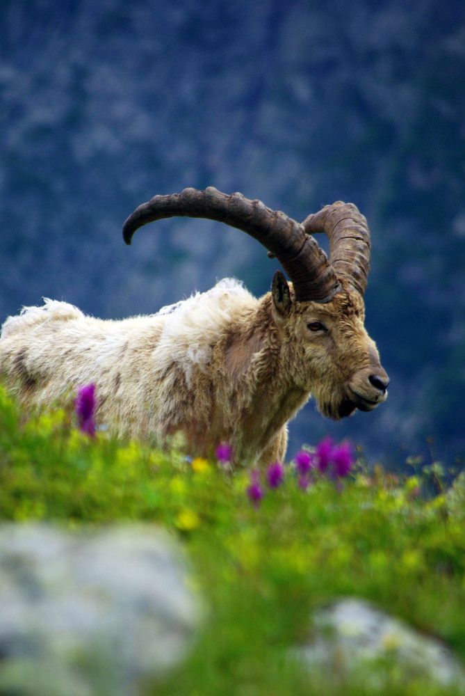 Photograph by Андрей Любимов