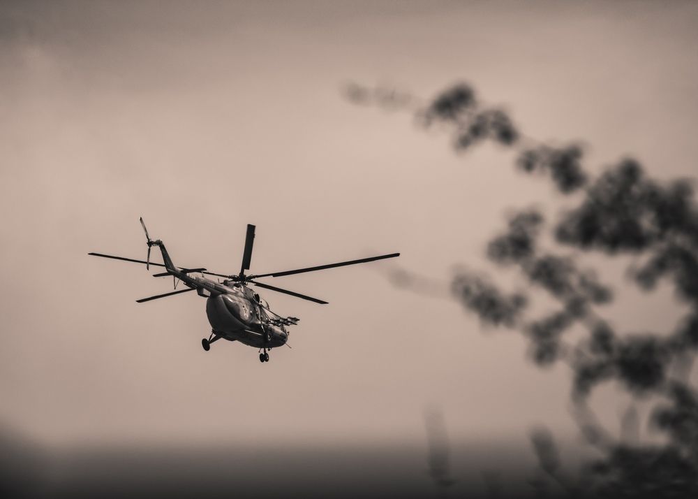 Фотография автора Игорь Васильев