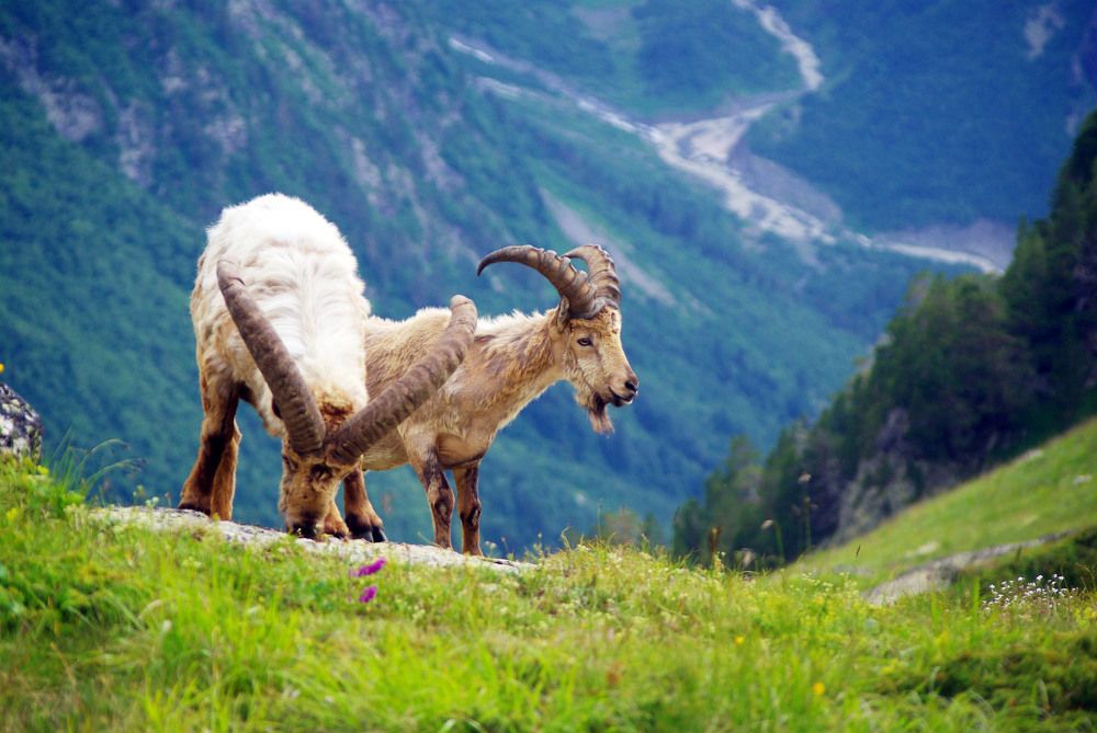 Photograph by Андрей Любимов