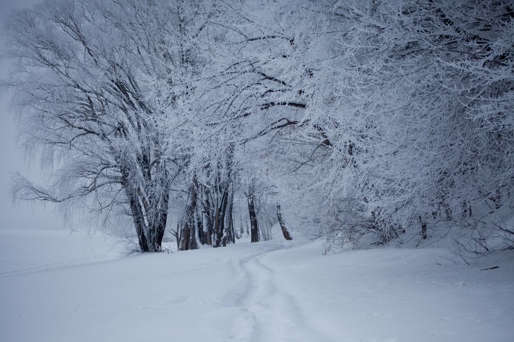 Зимние таинство