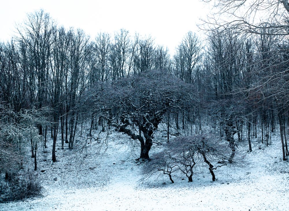 Photograph by Иво Йорданов