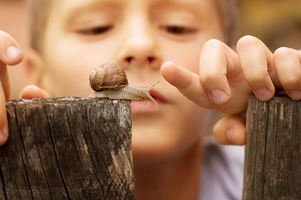 Photograph by Елена Макшеева