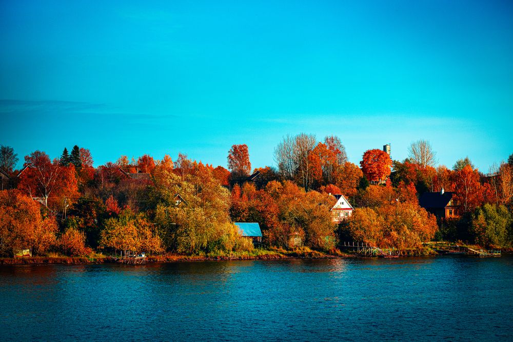 Photograph by Сергей Зимин