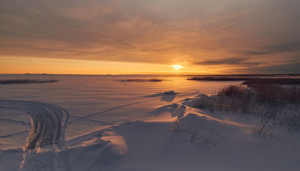 Photograph by Дмитрий Лепаков