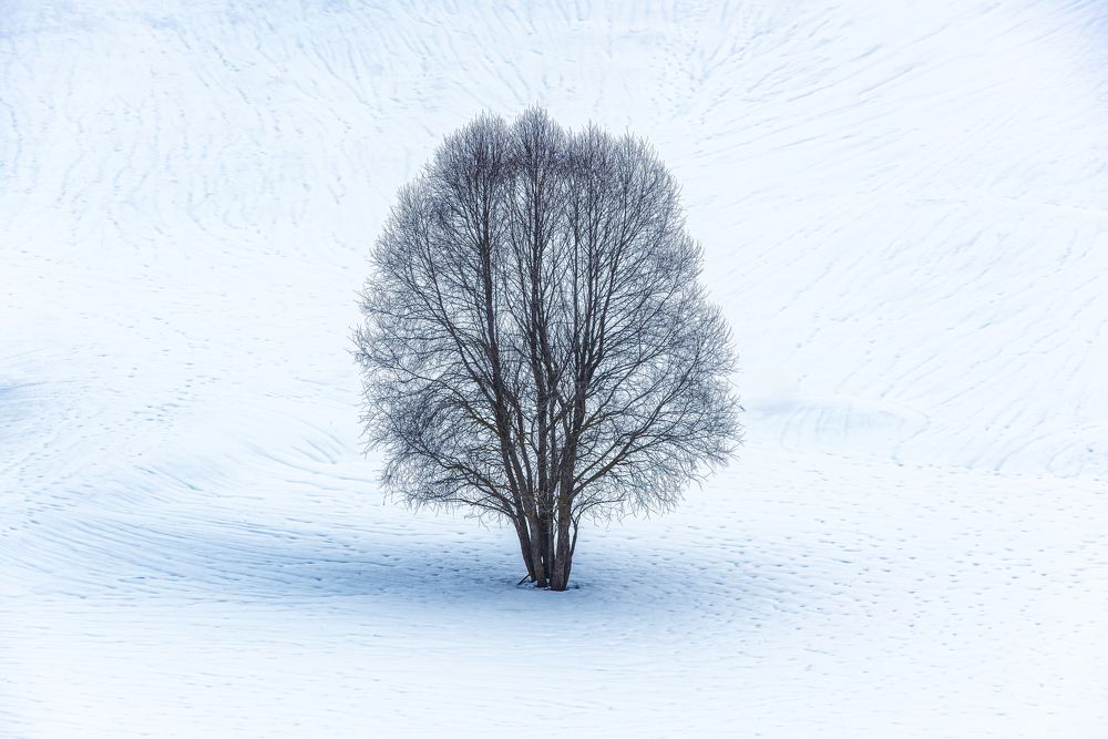 Photograph by Павел Абакумов