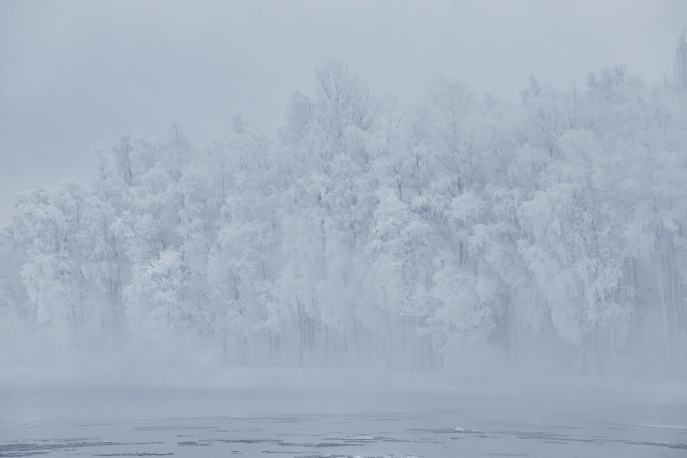 Photograph by Дмитрий Лепаков