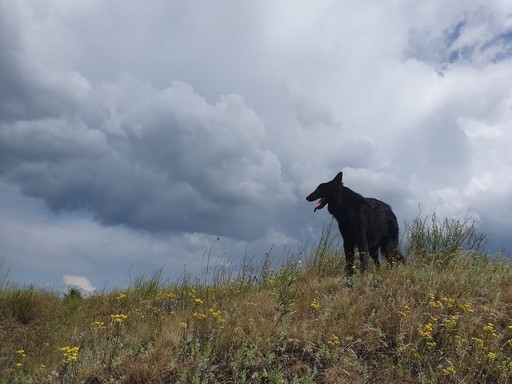 Фотография автора Надежда Лисицына
