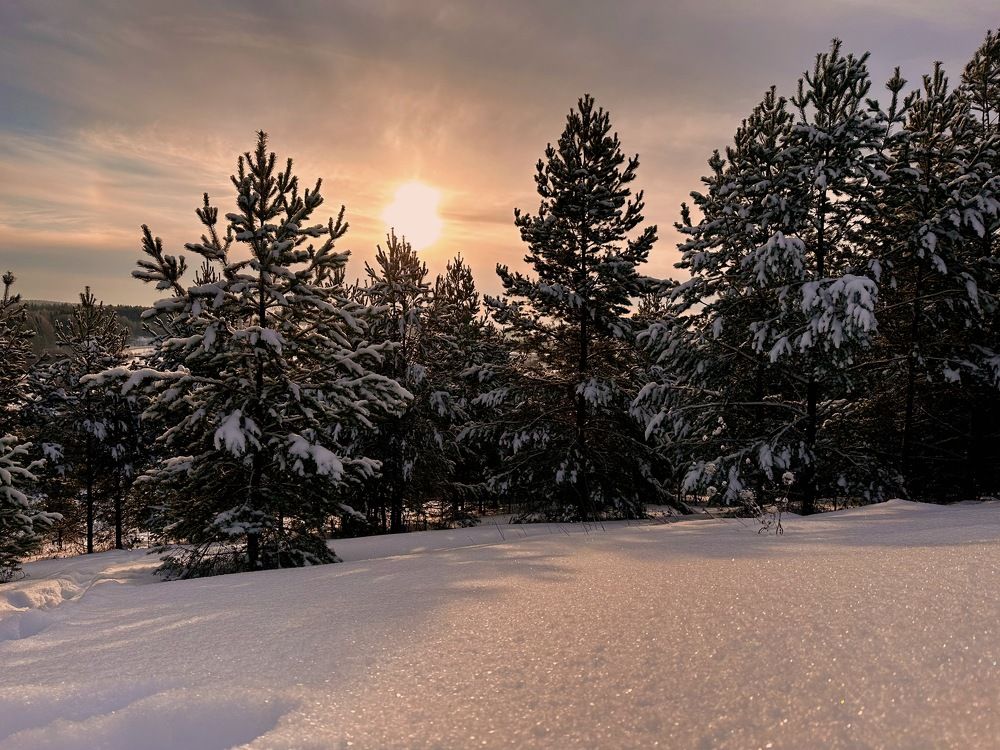 Photograph by Гуляева Светлана