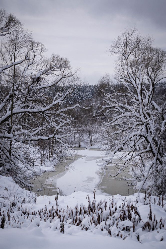 Photograph by Александр Ходакин