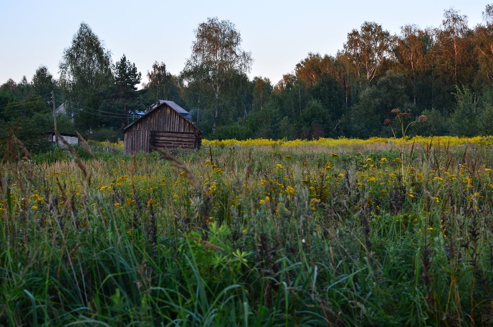 Фотография автора Олег Любимов