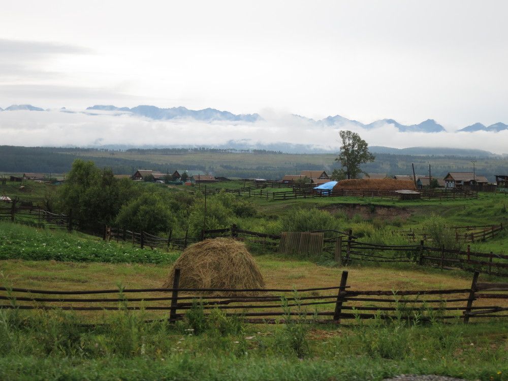 Photo #10153165