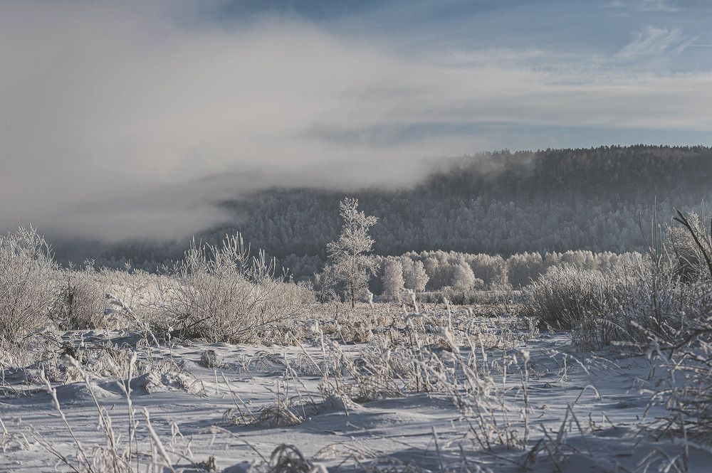 Photograph by Вадим Басов