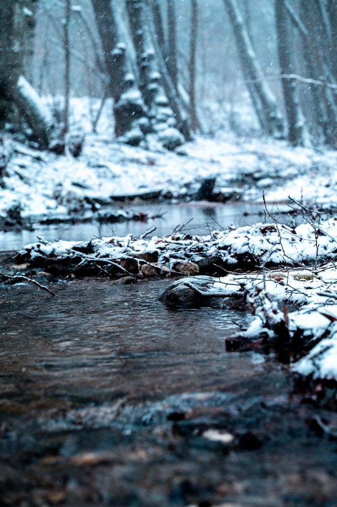 Photograph by Иво Йорданов