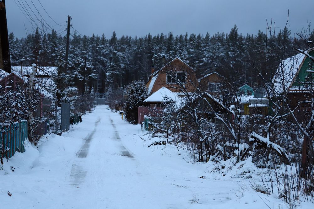 Фотография автора Светлана Цудзевич