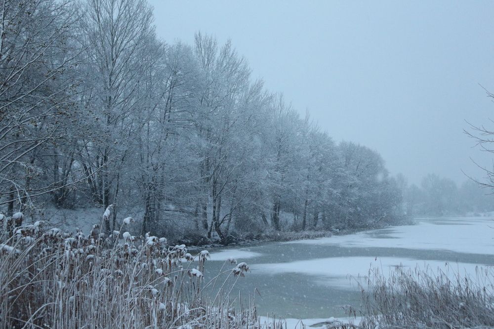 Фотография автора Ольга Панасюк