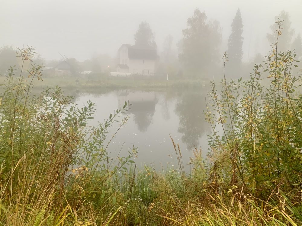 туманное утро