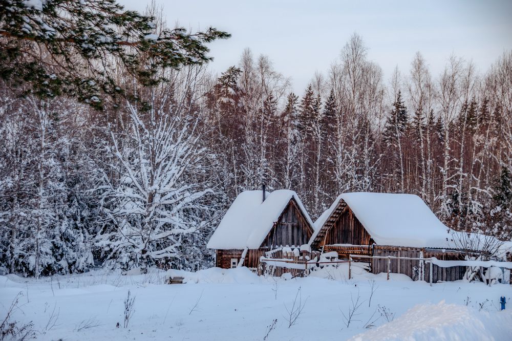 Photograph by Елена Ефимова